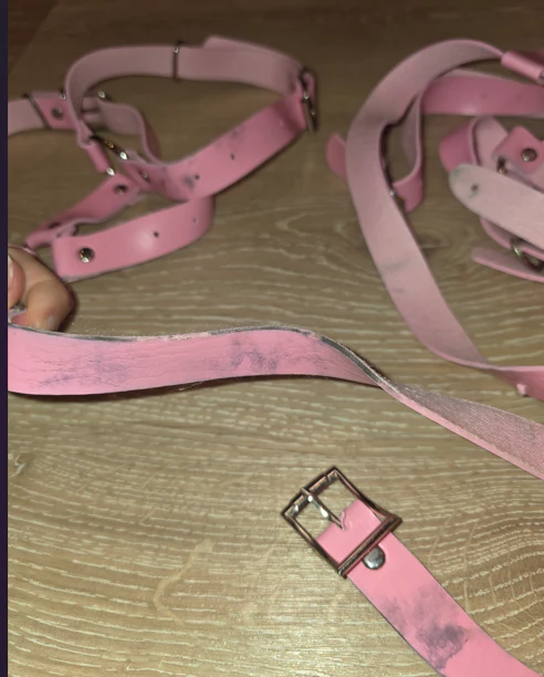Wardrobe Clearance: Diner Outfit + Harness - Image 5